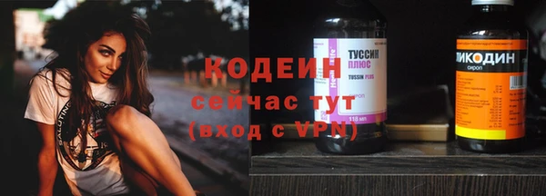 соль ск Белокуриха