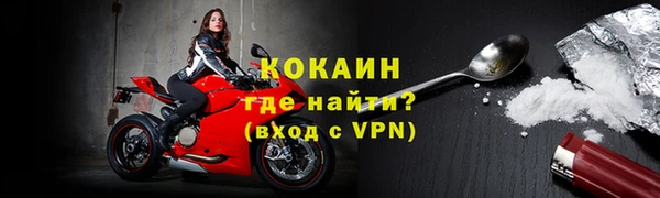 соль ск Белокуриха