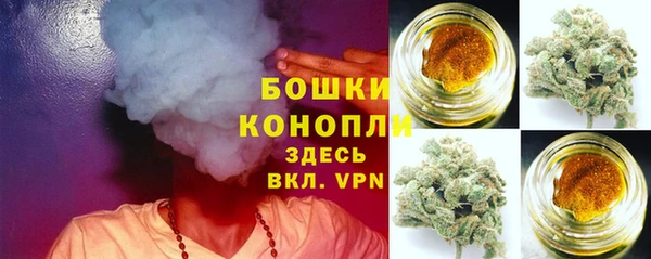 соль ск Белокуриха