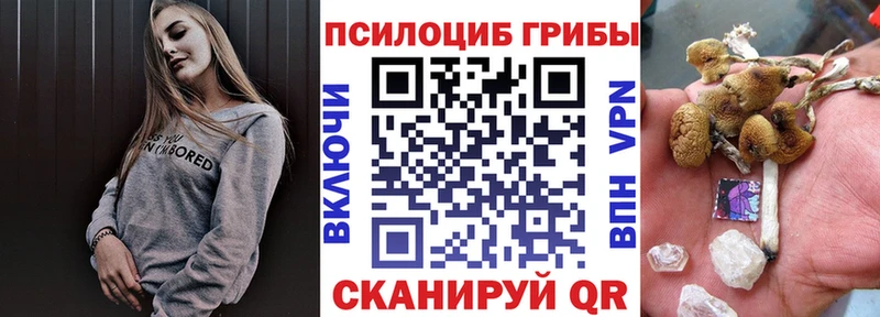 Псилоцибиновые грибы мухоморы  это телеграм  Вытегра 